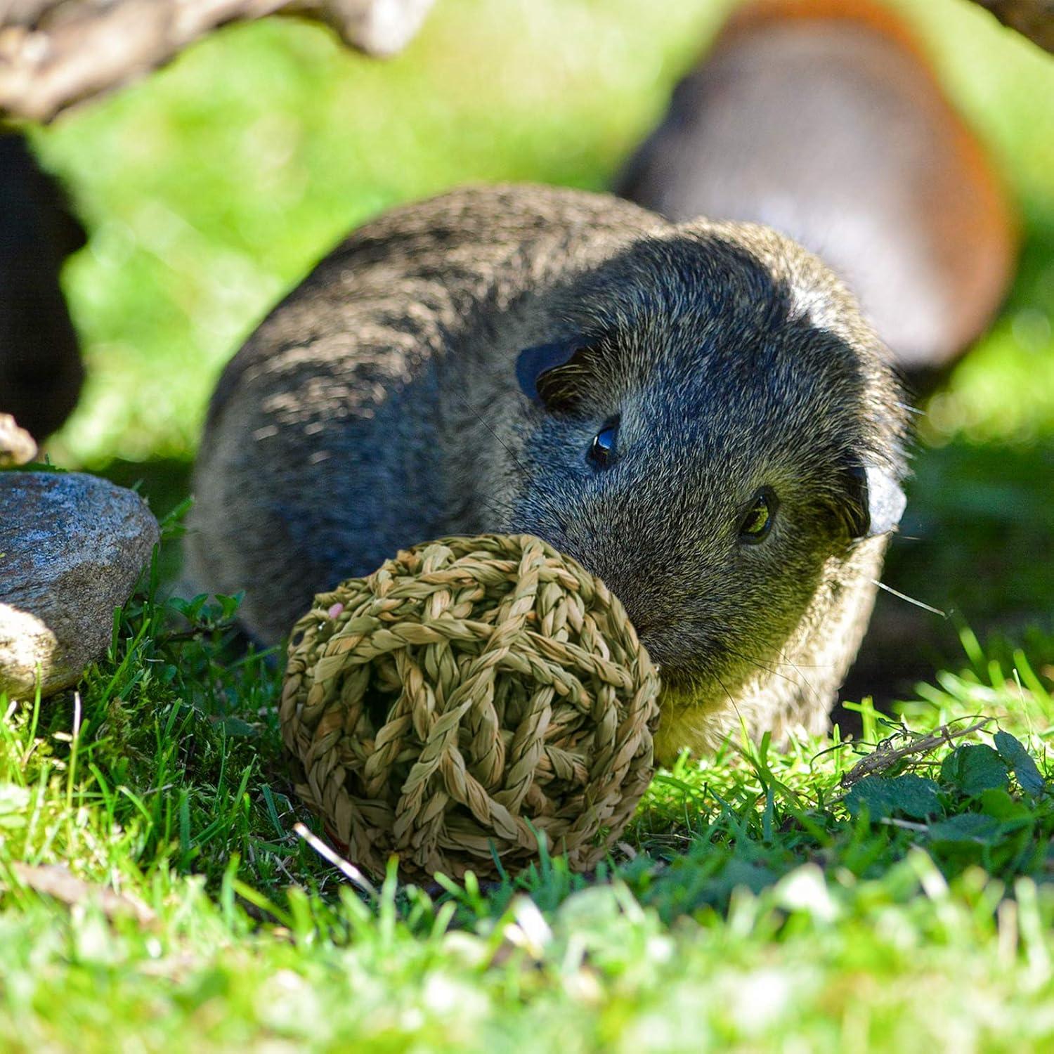 10 Pelotas de Juego Naturales para Conejos y Roedores Bac-kitchen
