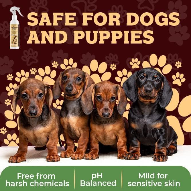 Spray Desenredante Acondicionador para Perros Nuesta 296 ml