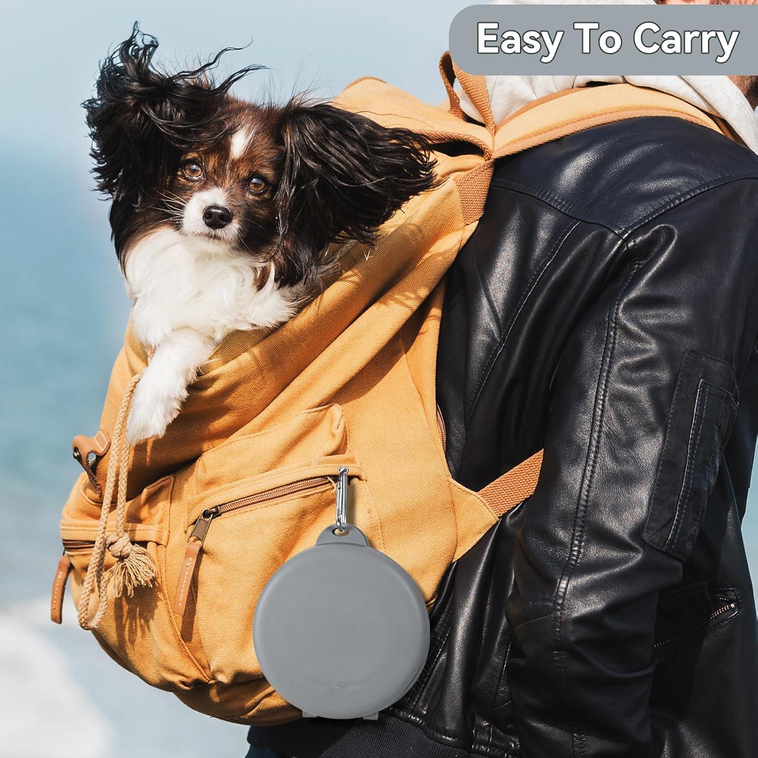 Cuenco Plegable 2 en 1 para Perros y Gatos Gris - 300ml