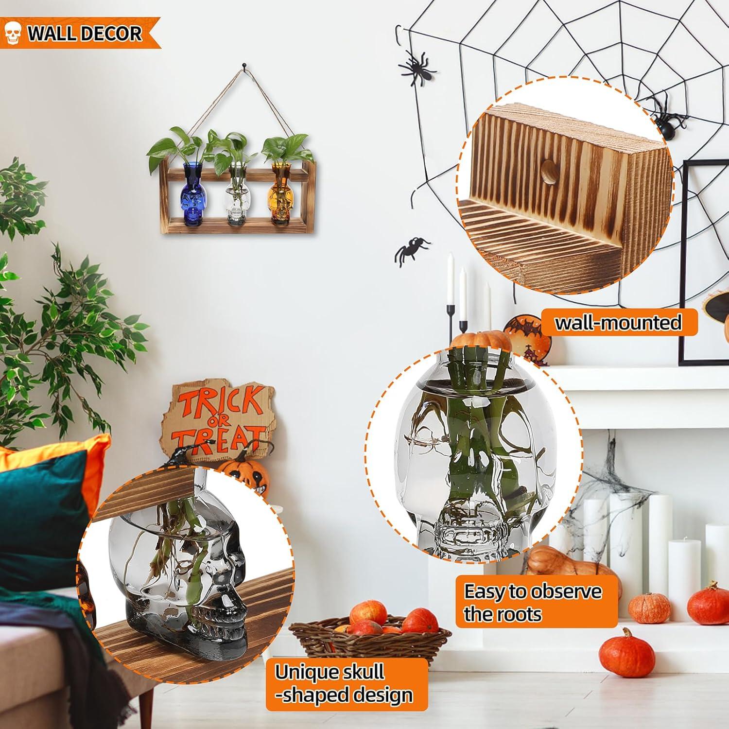 Jarrón de Vidrio Calavera para Hidroponía YYHglass 27.7cm