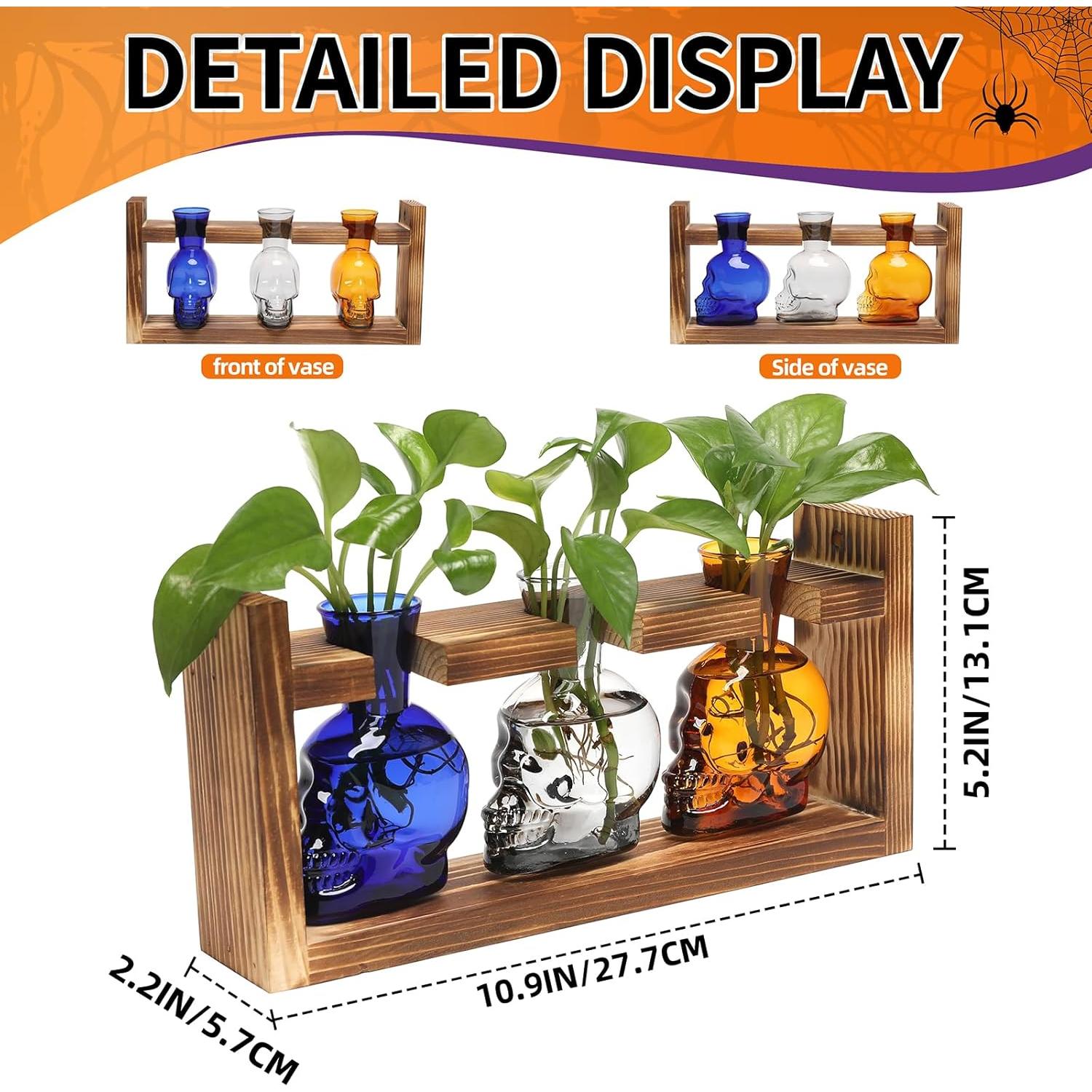 Jarrón de Vidrio Calavera para Hidroponía YYHglass 27.7cm