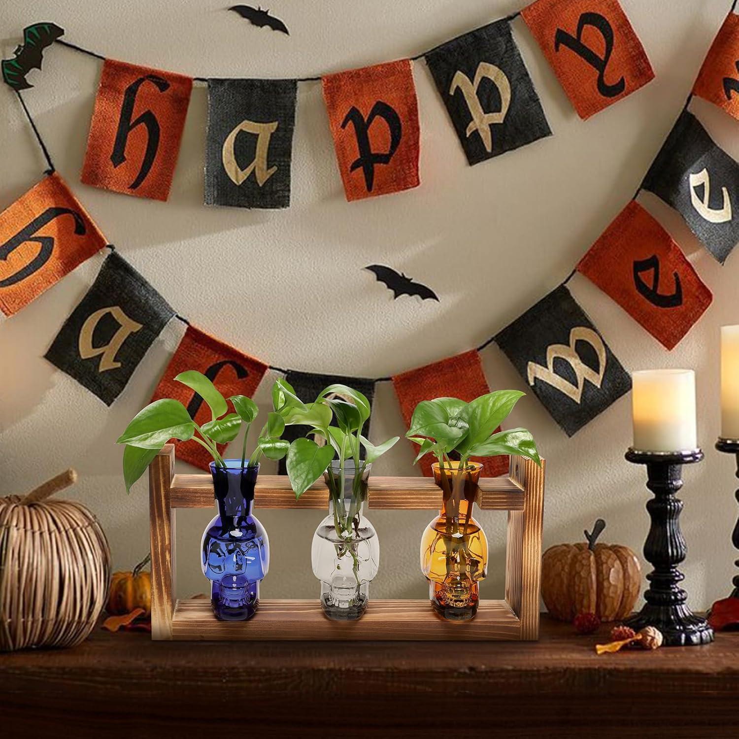 Jarrón de Vidrio Calavera para Hidroponía YYHglass 27.7cm