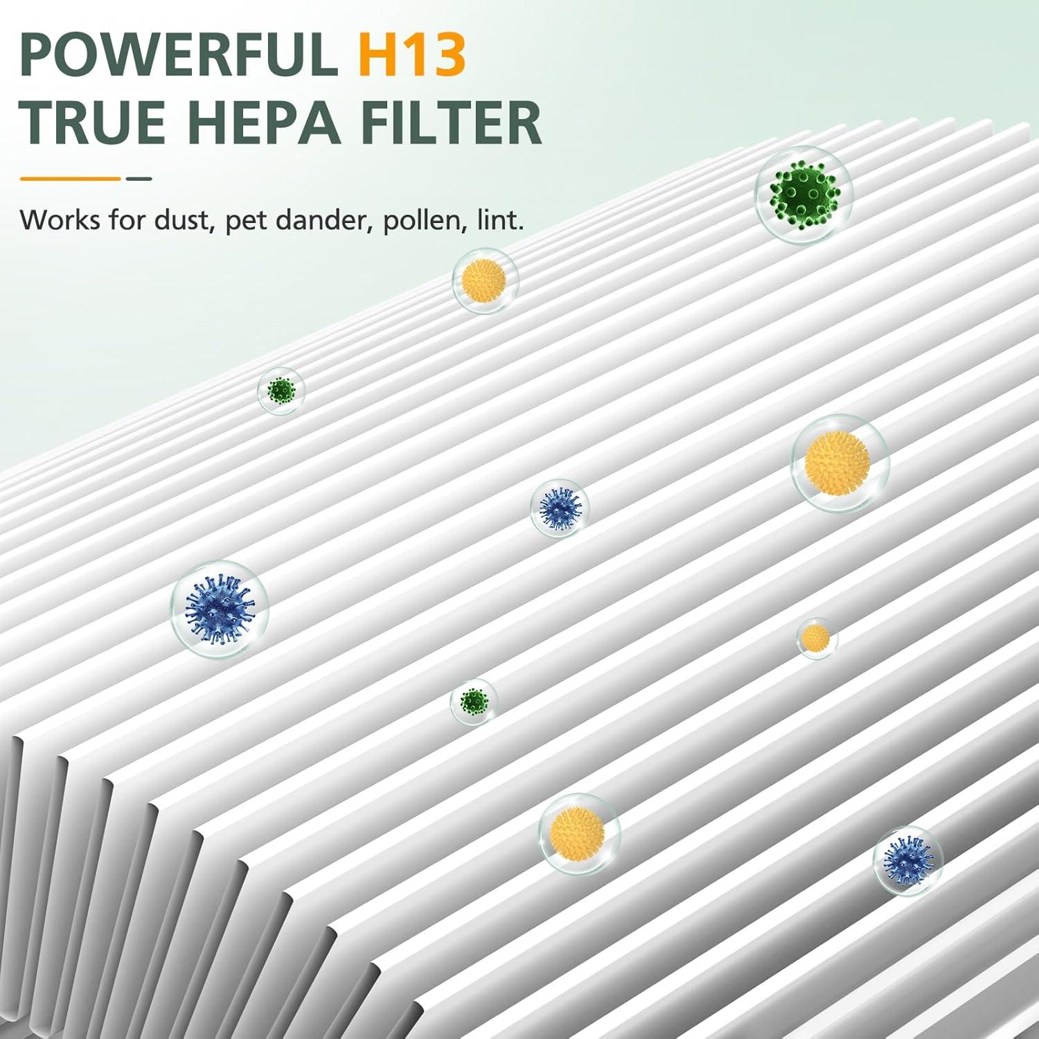 Paquete de 2 Filtros de Aire HEPA Verdadero isinlive C102