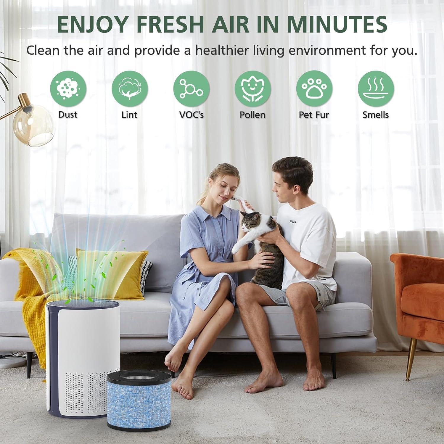 Paquete de 2 Filtros de Aire HEPA Verdadero isinlive C102