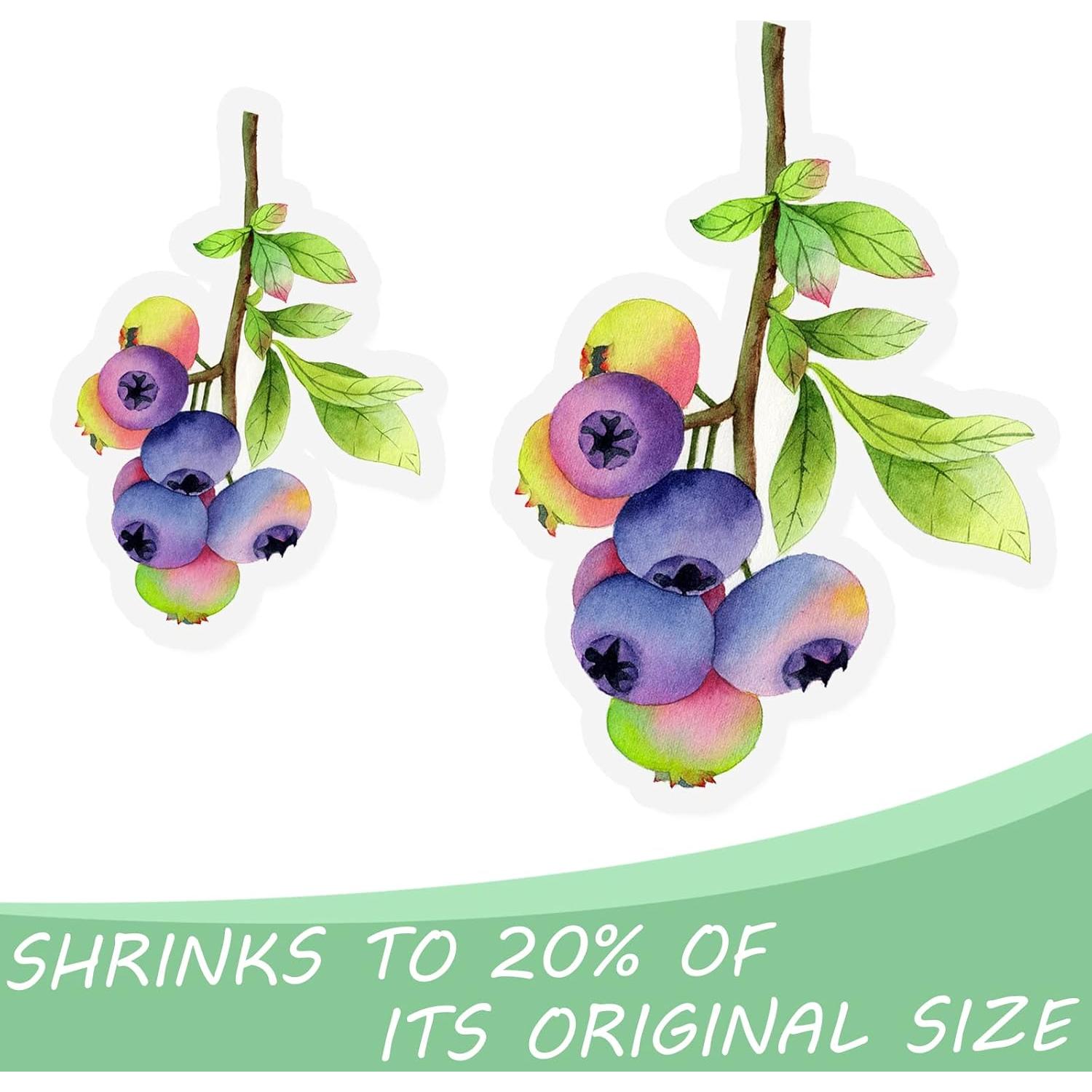 Benvo 10 Hojas de Plástico Termocontraíble A5 para Manualidades