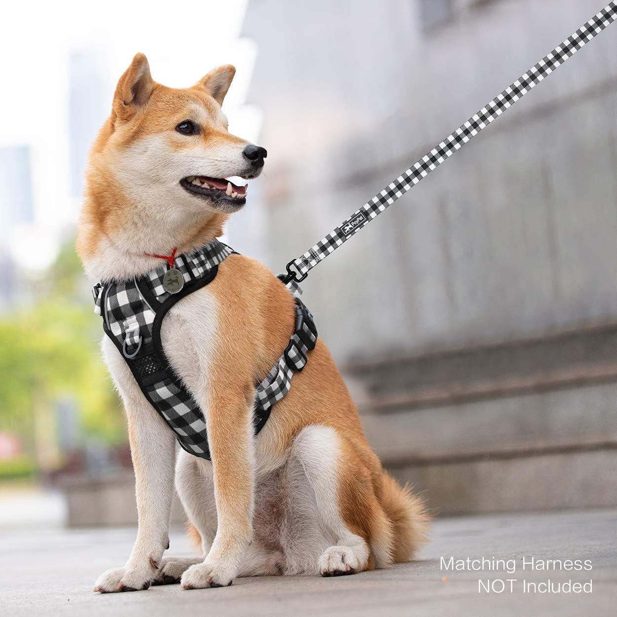 Correa para Perro PoyPet 1.52m con Mango Acolchado Cuadrícula