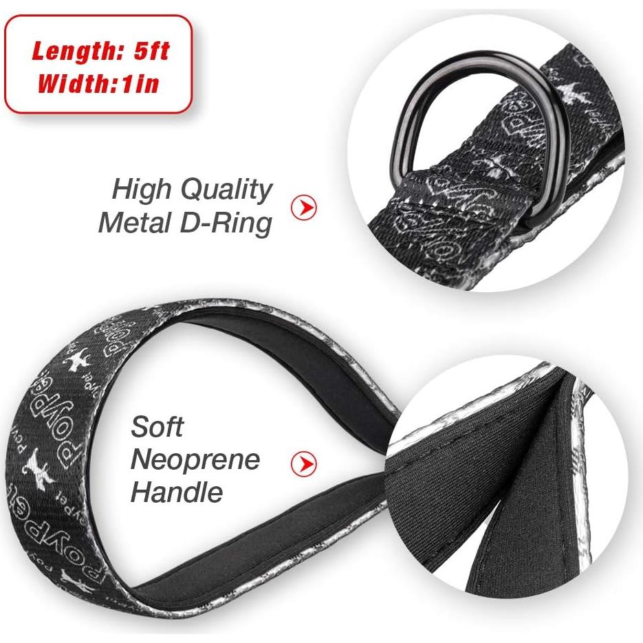 Correa para Perro PoyPet 1.52m con Mango Acolchado Beige Cuadros