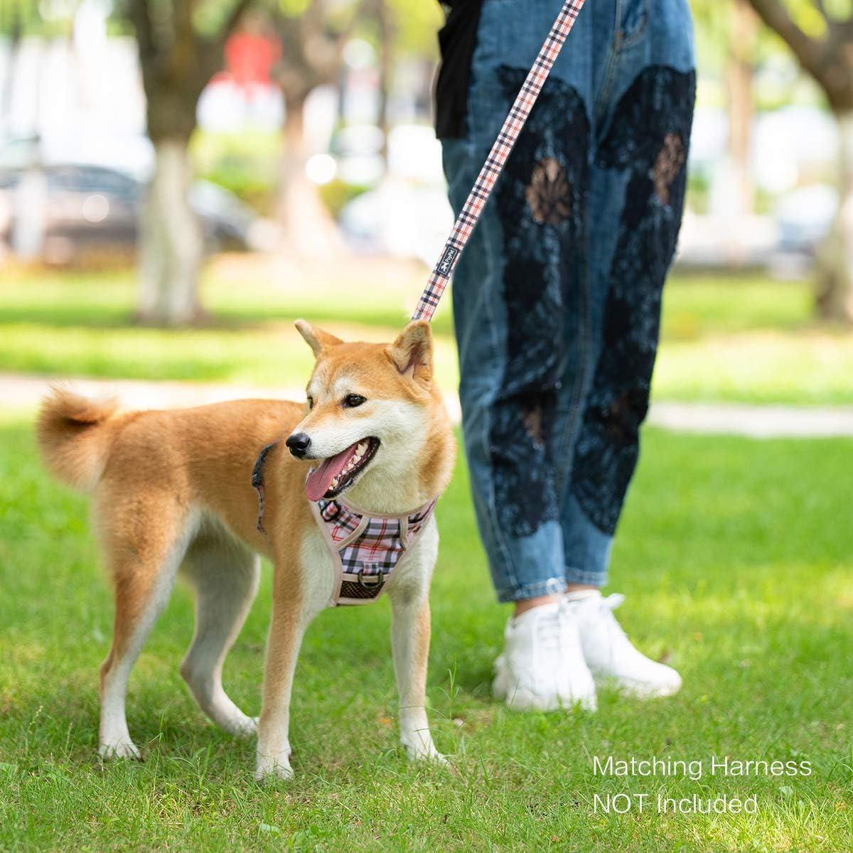 Correa para Perro PoyPet 1.52m con Mango Acolchado Beige Cuadros