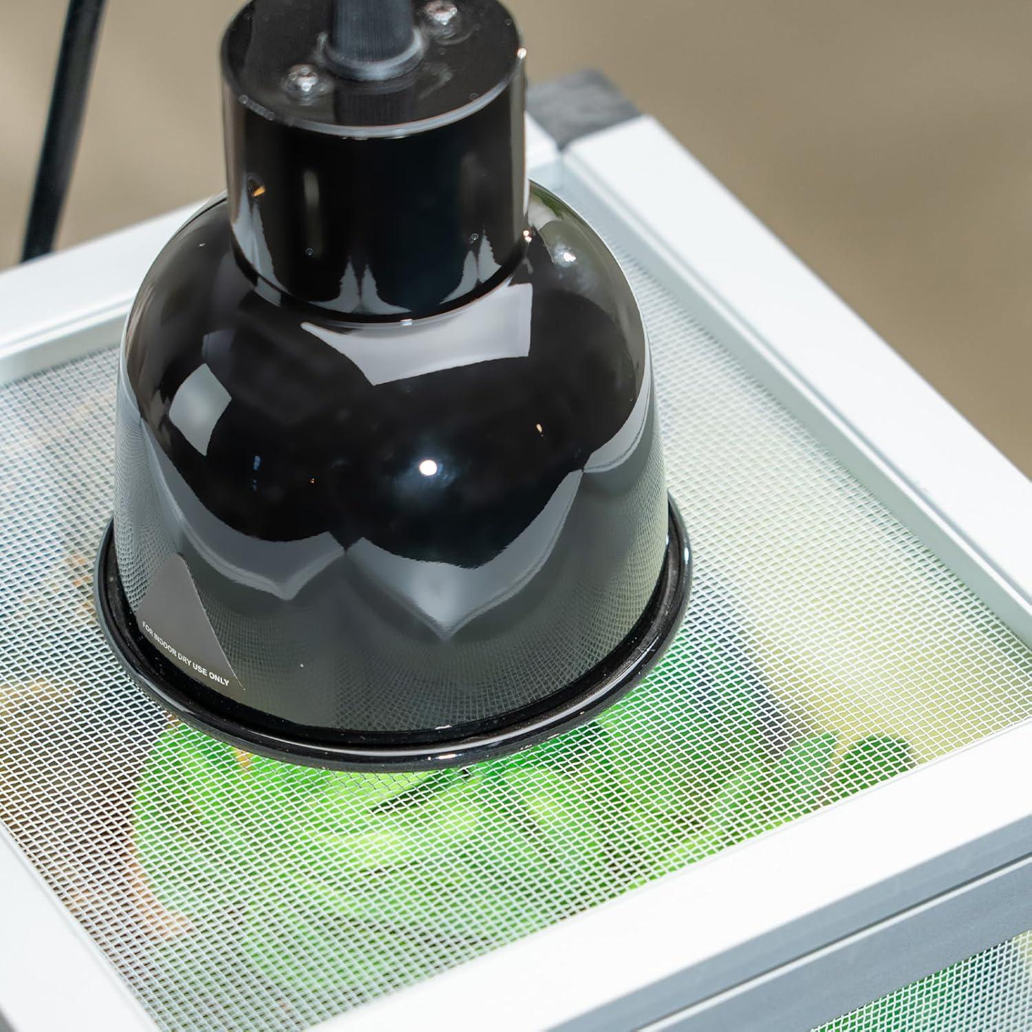 Jaula Vertical para Reptiles ToxiRium 20.32x20.32x30.48cm