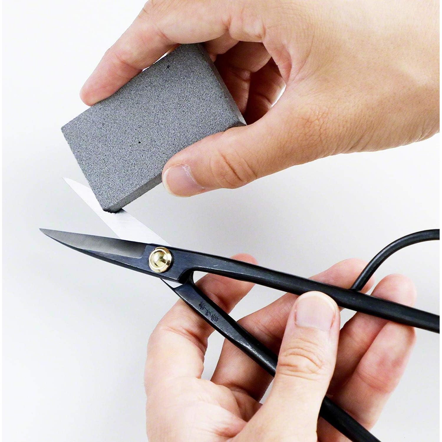 Kit de Tijeras de Bonsai Wazakura + Borrador de Resina Japonés