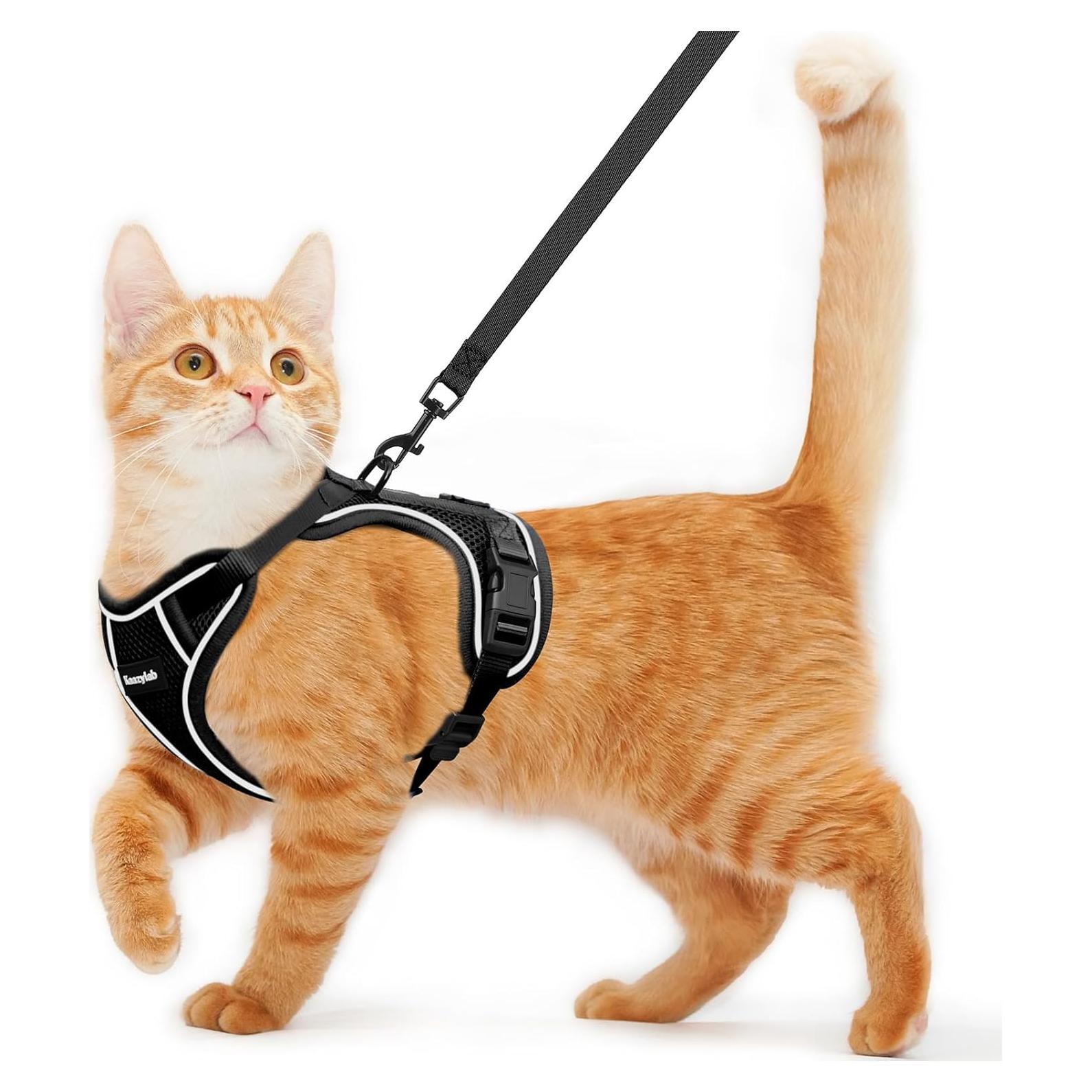 Arnés para Gatos Kaazylab Ajustable Negro XS - A Prueba de Escapes