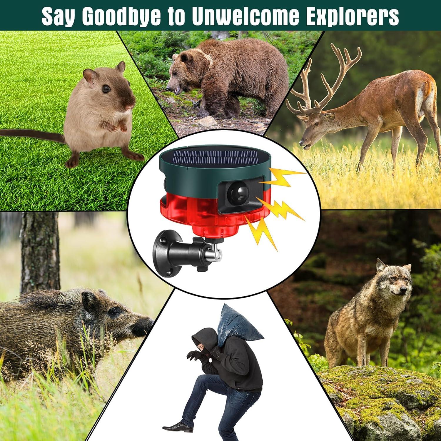 Qualirey Alarma Solar Exterior con Sensor de Movimiento - 2 Piezas