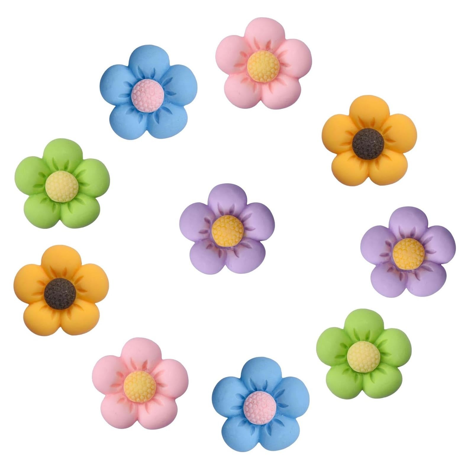 Encantos de Zapatos de Flores 10 pcs Resina Colorida