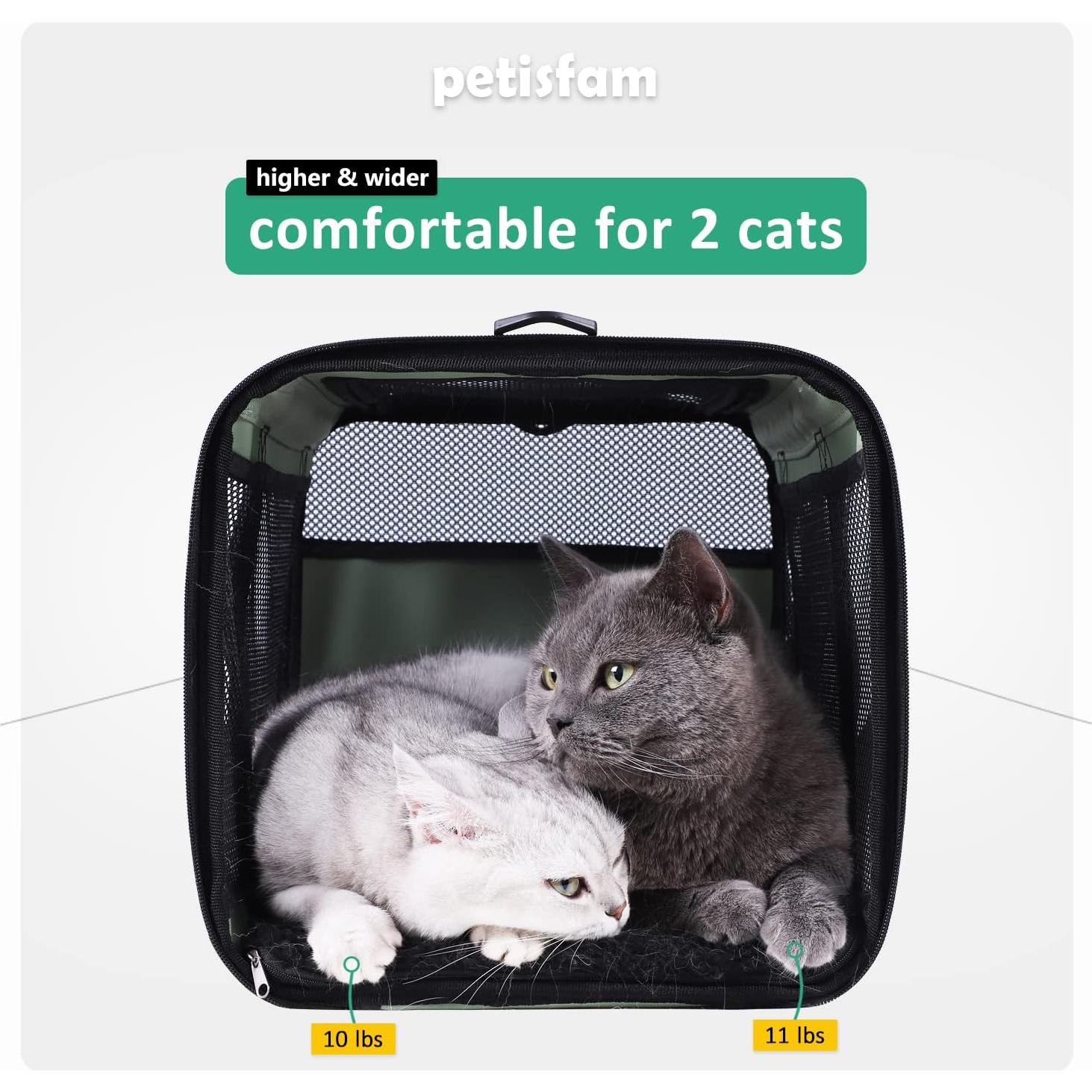 Transportín Petisfam Menta para Gatos y Perros Pequeños