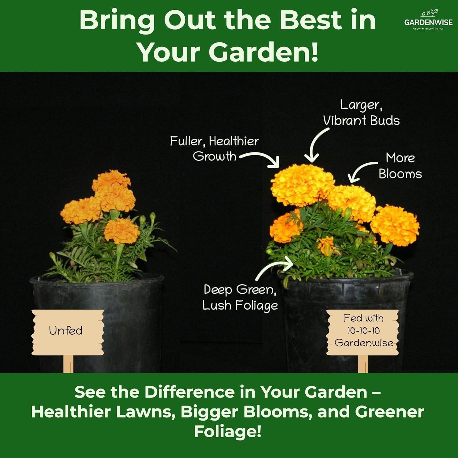 Fertilizante Granulado GardenWise 10-10-10 0.95L Multiusos