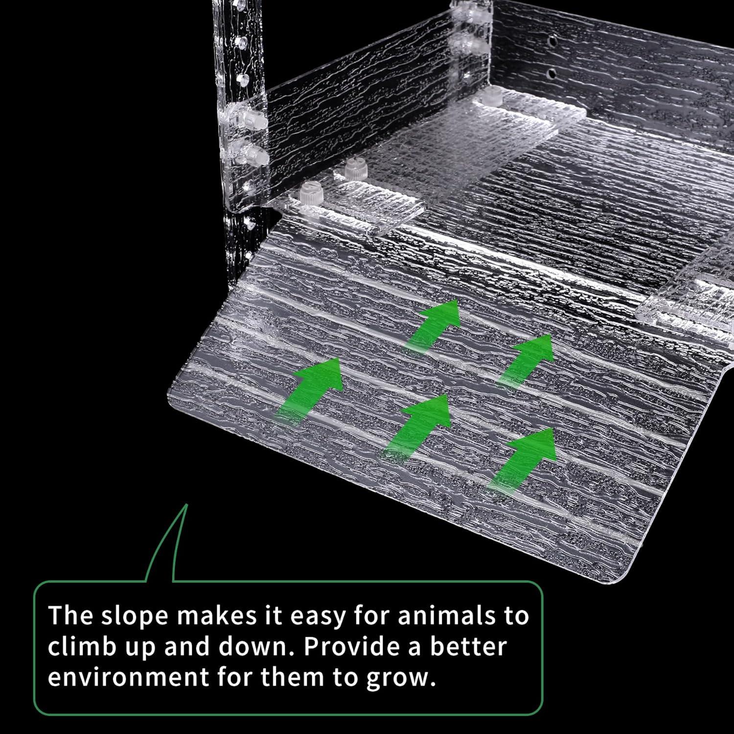 Plataforma de Sol para Tortugas Juilsioa 33x25.4 cm Acrílica