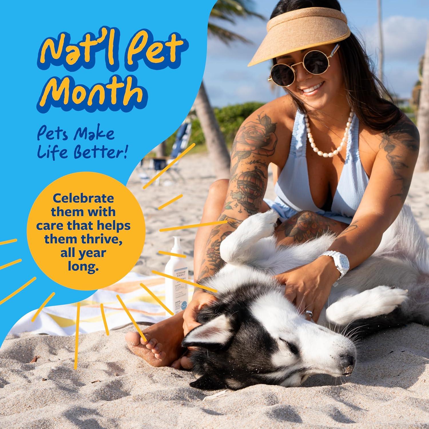 Champú Concentrado para Perros Sucios Veterinary Formula 502 ml