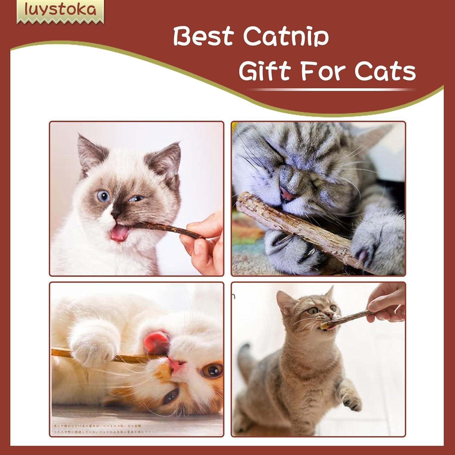 Juguetes para Gatos Luystoka - 10PCS Palitos de Silvervine