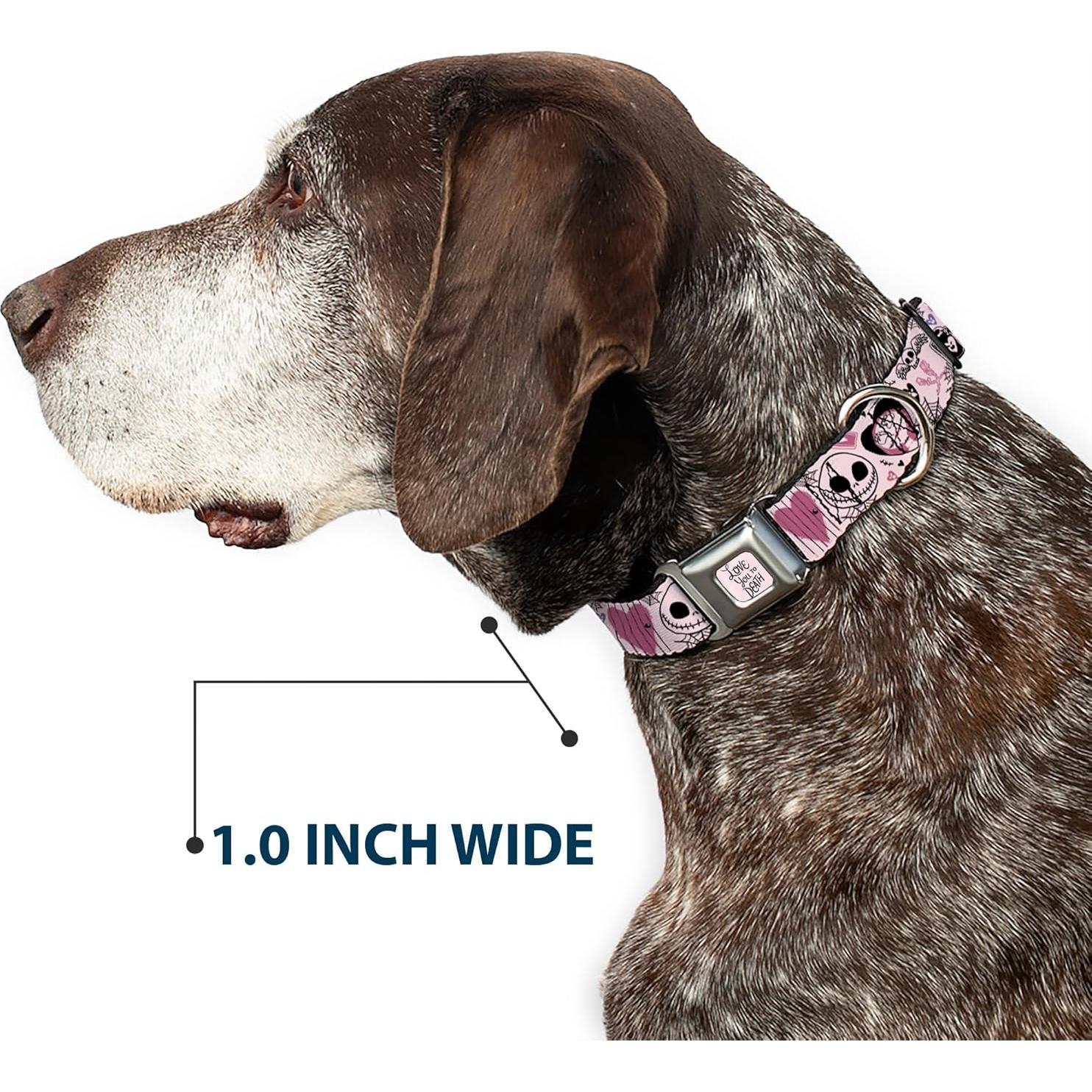 Collar para Perros Disney Buckle-Down 24.1-33 cm Rosa