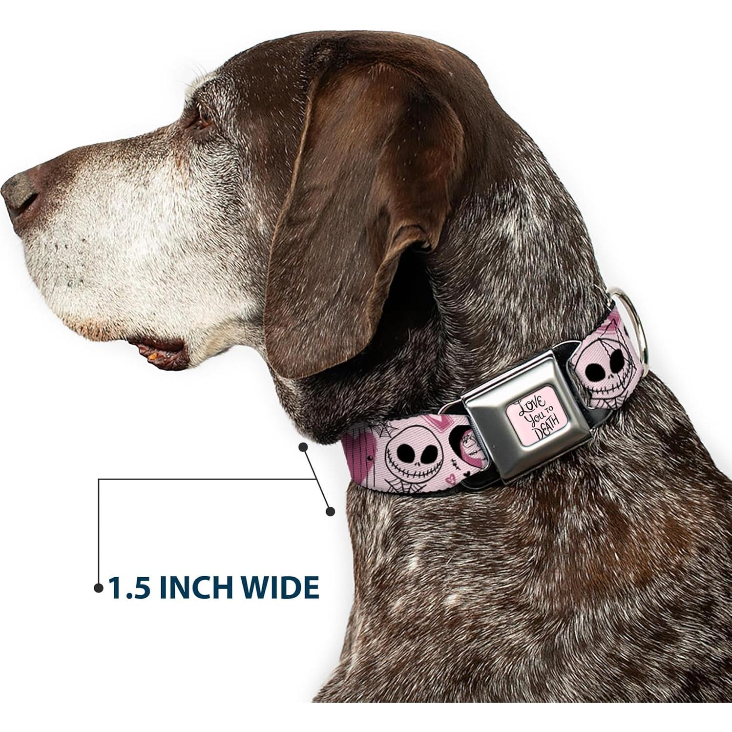 Collar para Perros Disney Buckle-Down 24.1-33 cm Rosa