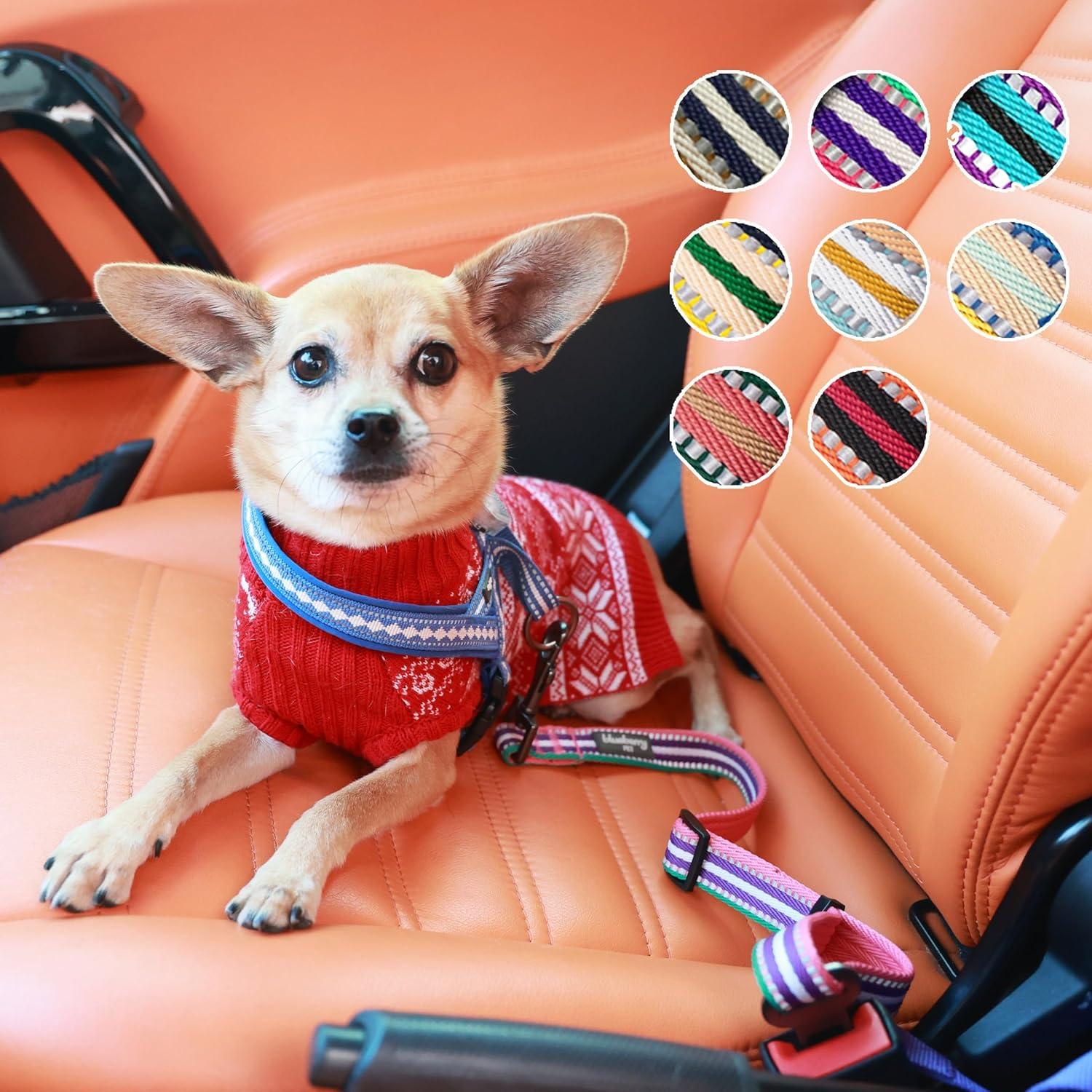 Correa de Seguridad para Perro Blueberry Pet Ajustable 2.54 cm