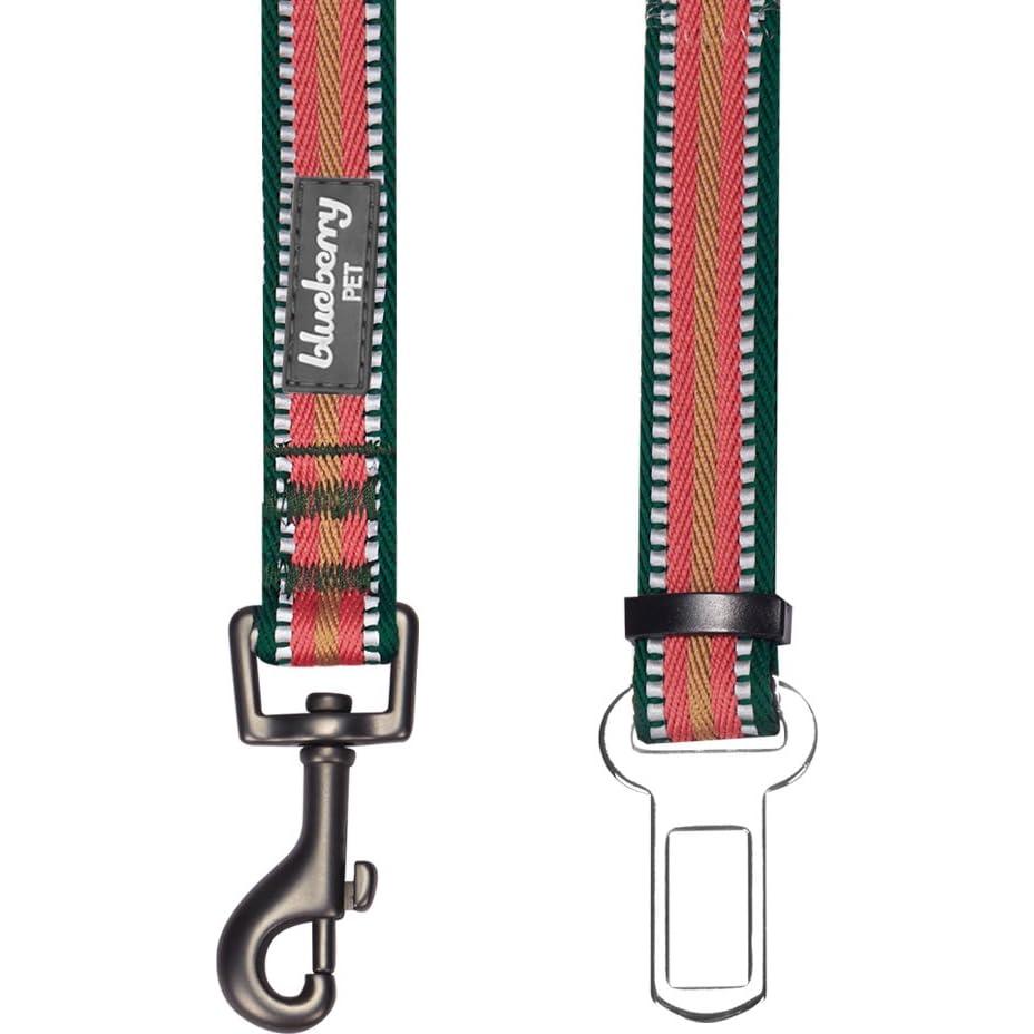 Correa de Seguridad para Perro Blueberry Pet Ajustable 2.54 cm