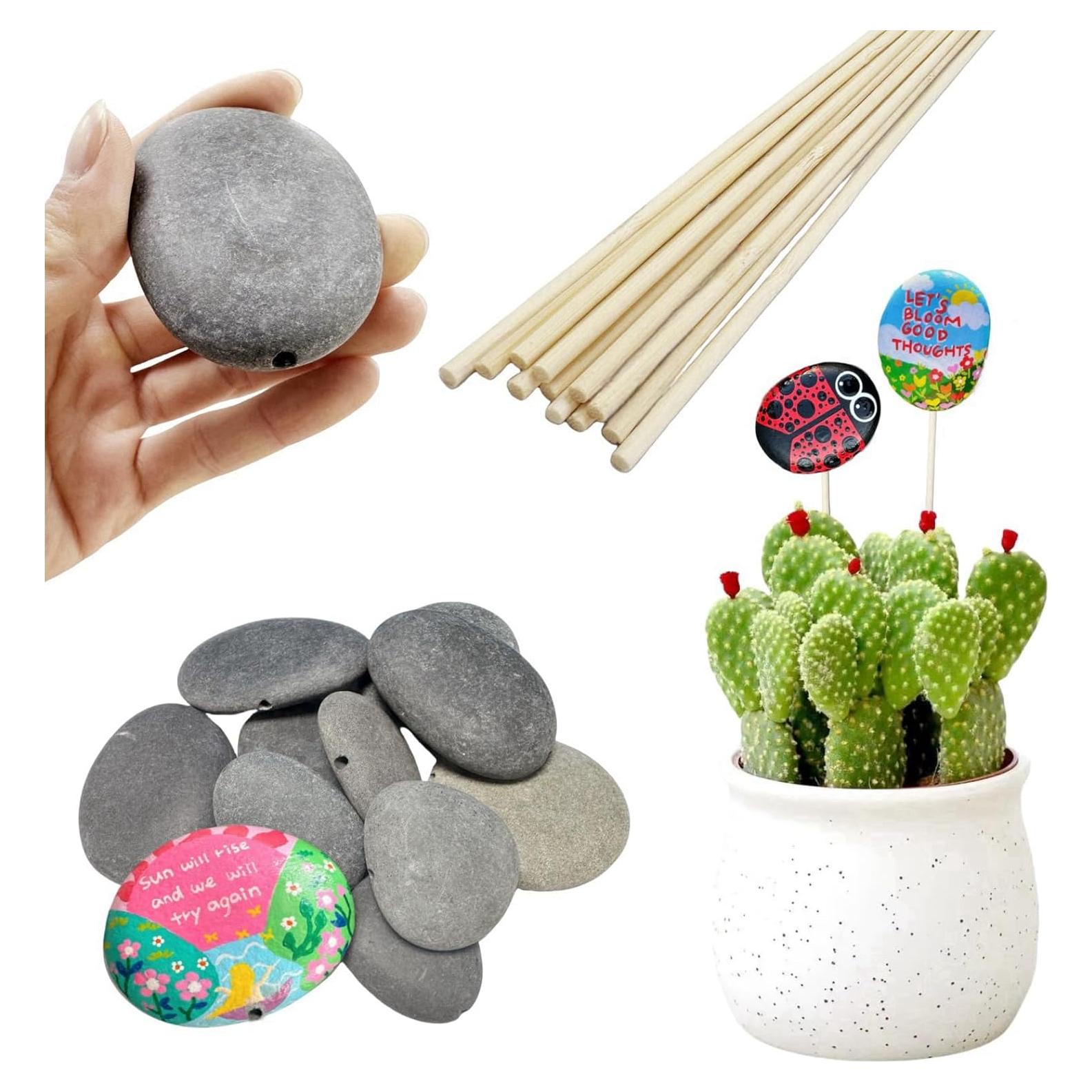 Set de Rocas para Pintar LIFETOP 12PCS con Pinchos de Bambú