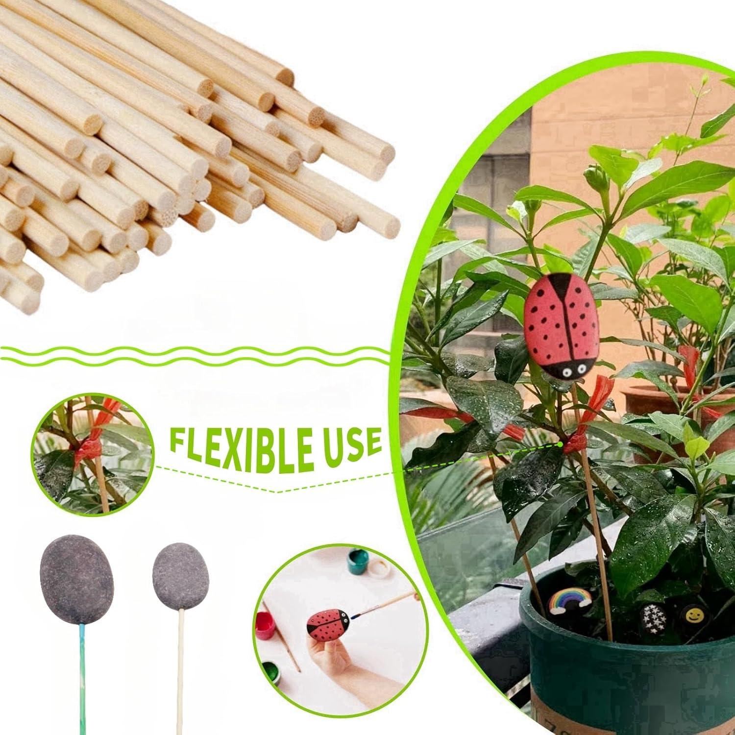 Set de Rocas para Pintar LIFETOP 12PCS con Pinchos de Bambú