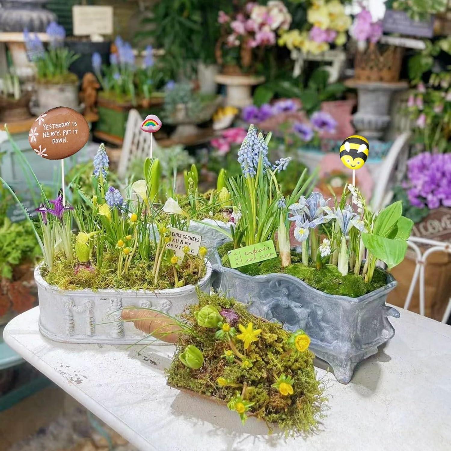 Set de Rocas para Pintar LIFETOP 12PCS con Pinchos de Bambú