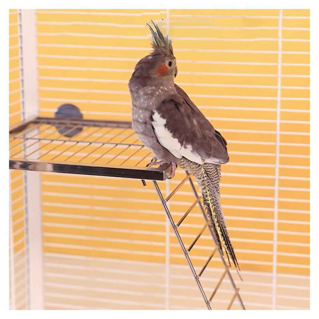 Juego de Plataforma y Escalera para Aves Nopikku - Acero Inoxidable