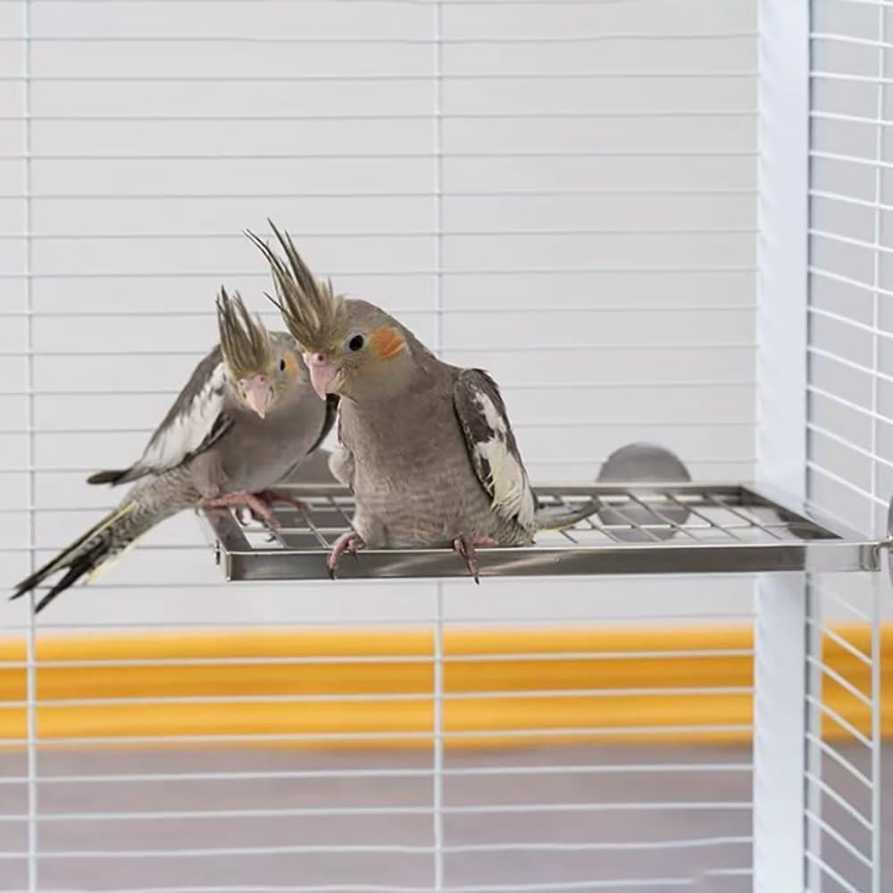 Juego de Plataforma y Escalera para Aves Nopikku - Acero Inoxidable