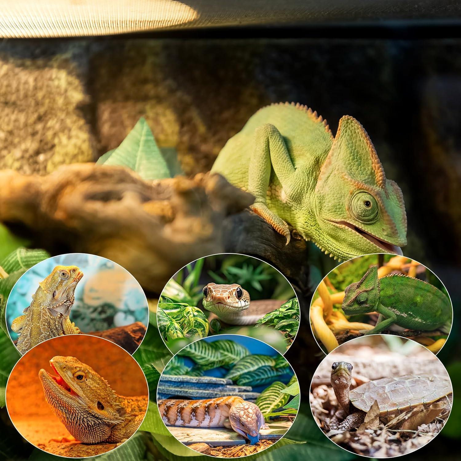 Bombilla de Calor para Reptiles MIXJOY 100W 2Pack UVA