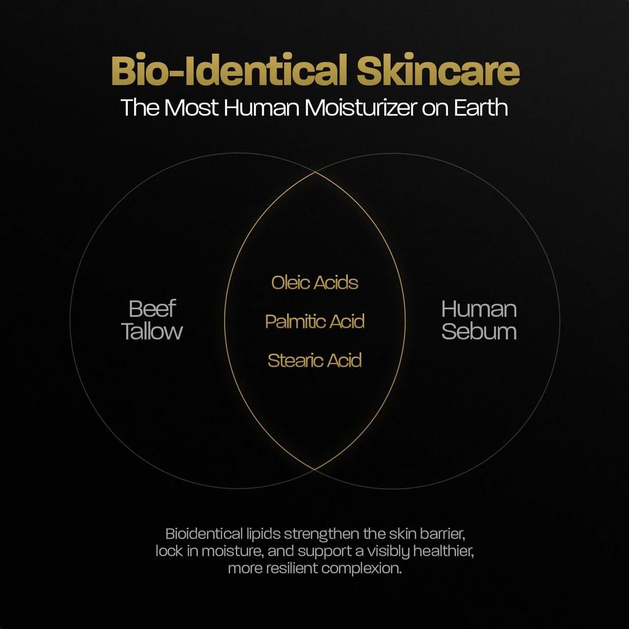 BASED Hidratante de Grasa de Res 50ml - Sin Fragancia, Orgánico