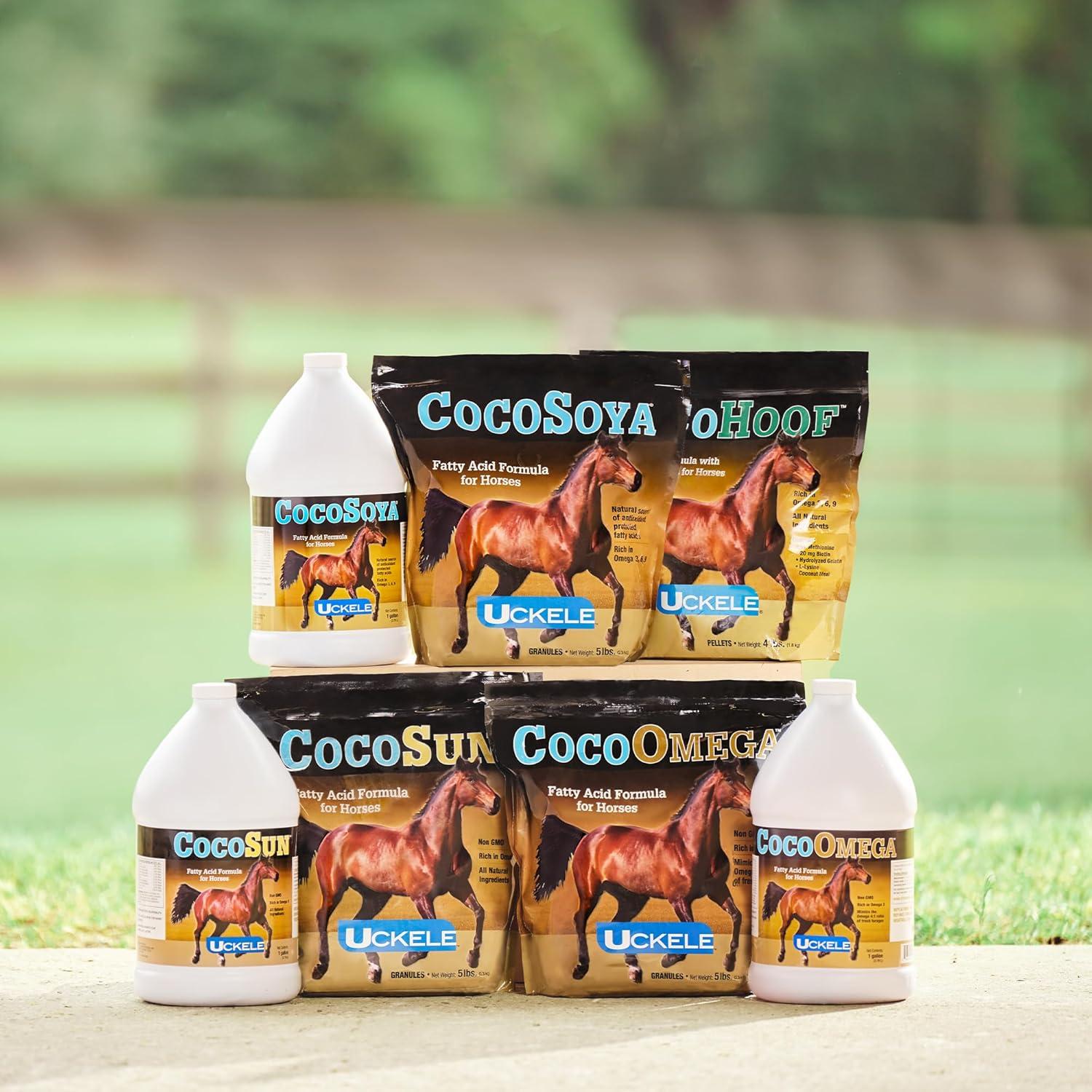 Suplemento para Caballos Uckele CocoOmega Granular 2.27 KG