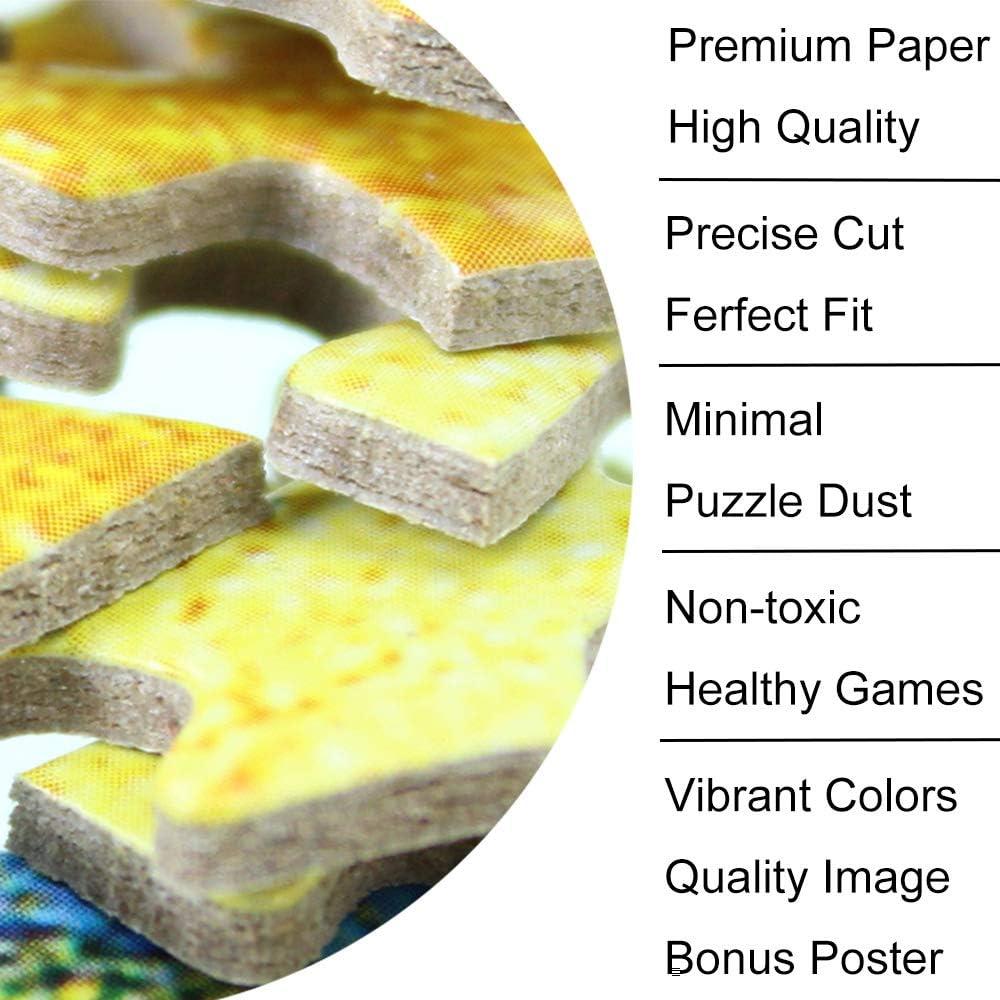 Rompecabezas Noche Estrellada Van Gogh 1000 Piezas 70x50cm