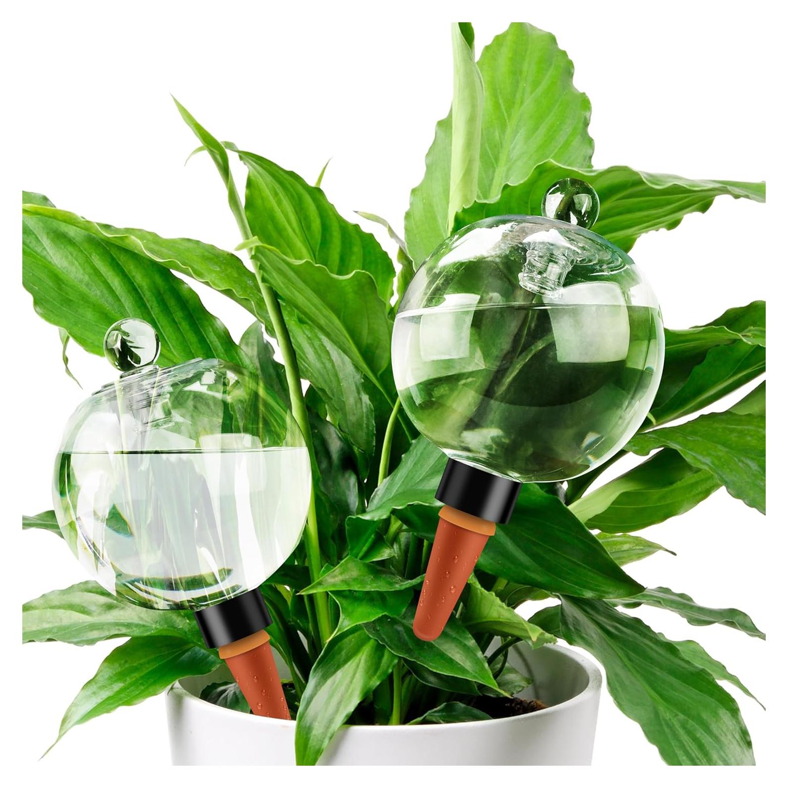 Esferas de Riego Automático Soilagua 19 oz 2 Paquete