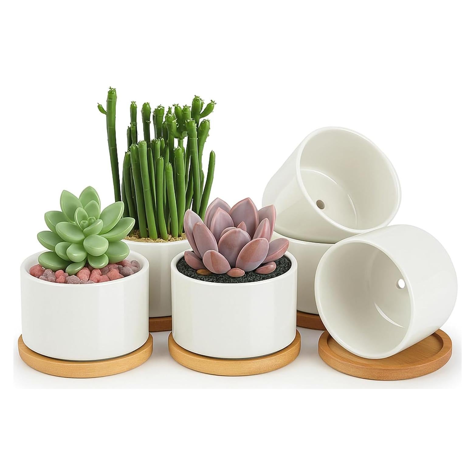 Macetas Cerámicas ZOUTOG para Suculentas 9.1 cm - Paquete de 6