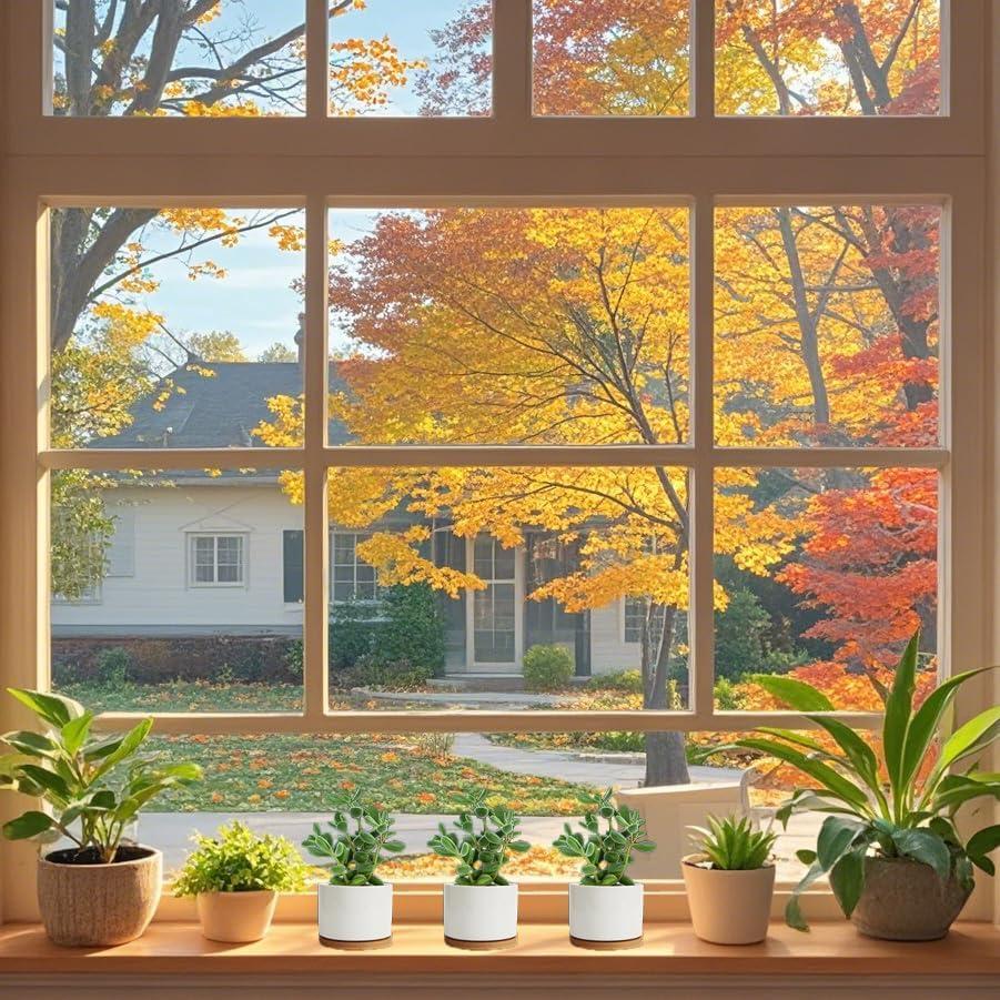 Macetas Cerámicas ZOUTOG para Suculentas 9.1 cm - Paquete de 6