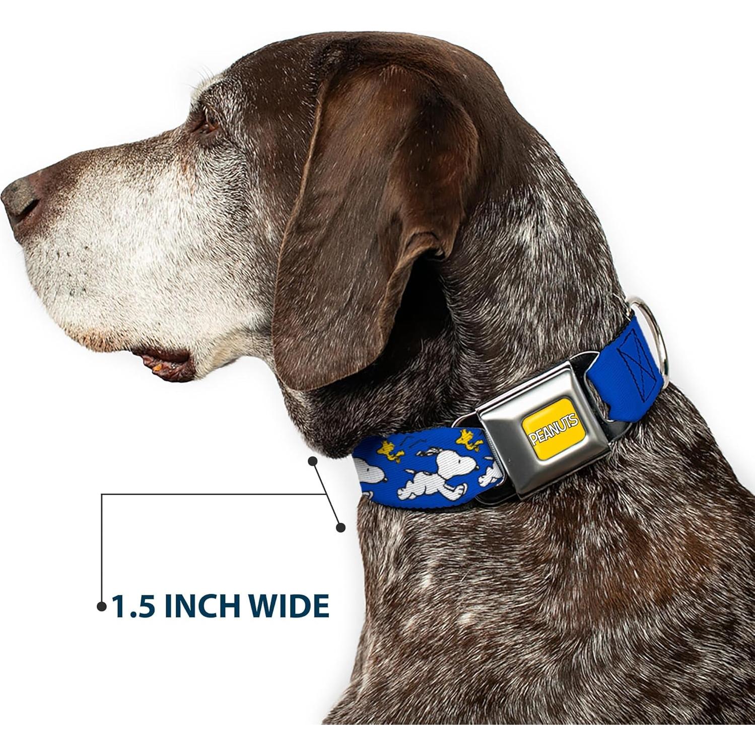Collar para Perro Peanuts Buckle-Down 24.1-33 cm Azul