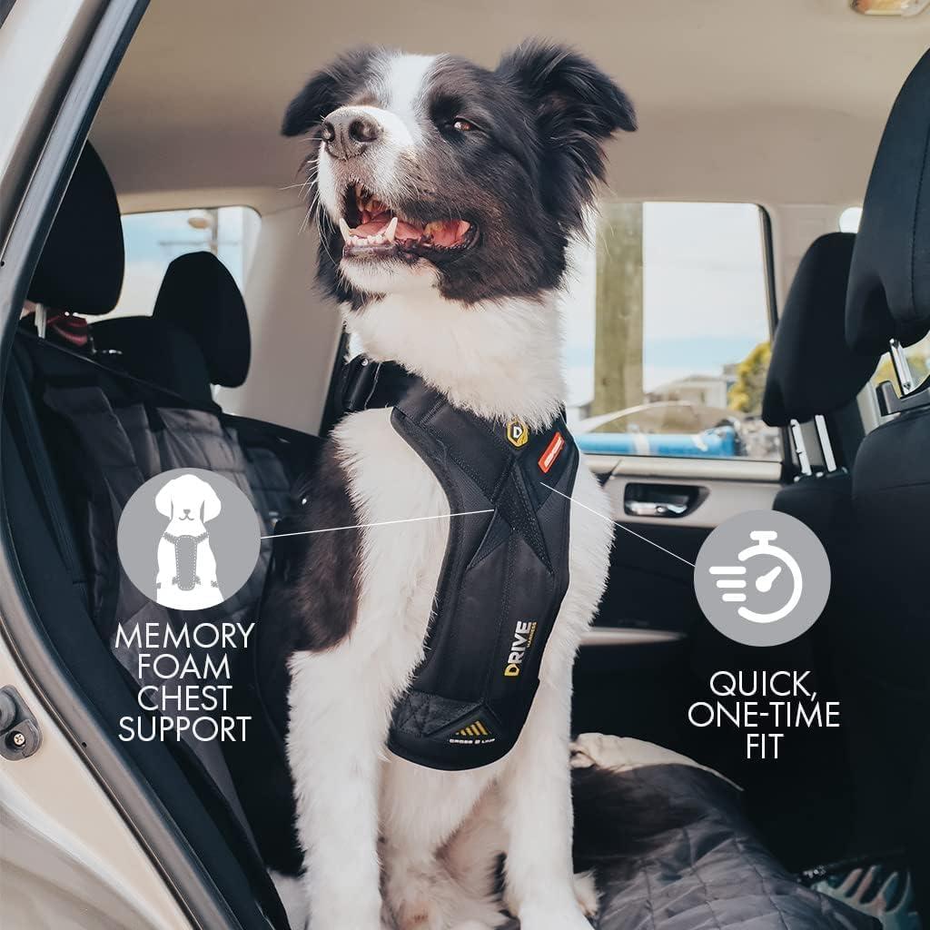 Arnés de perro EzyDog Drive Mediano - Seguridad en auto