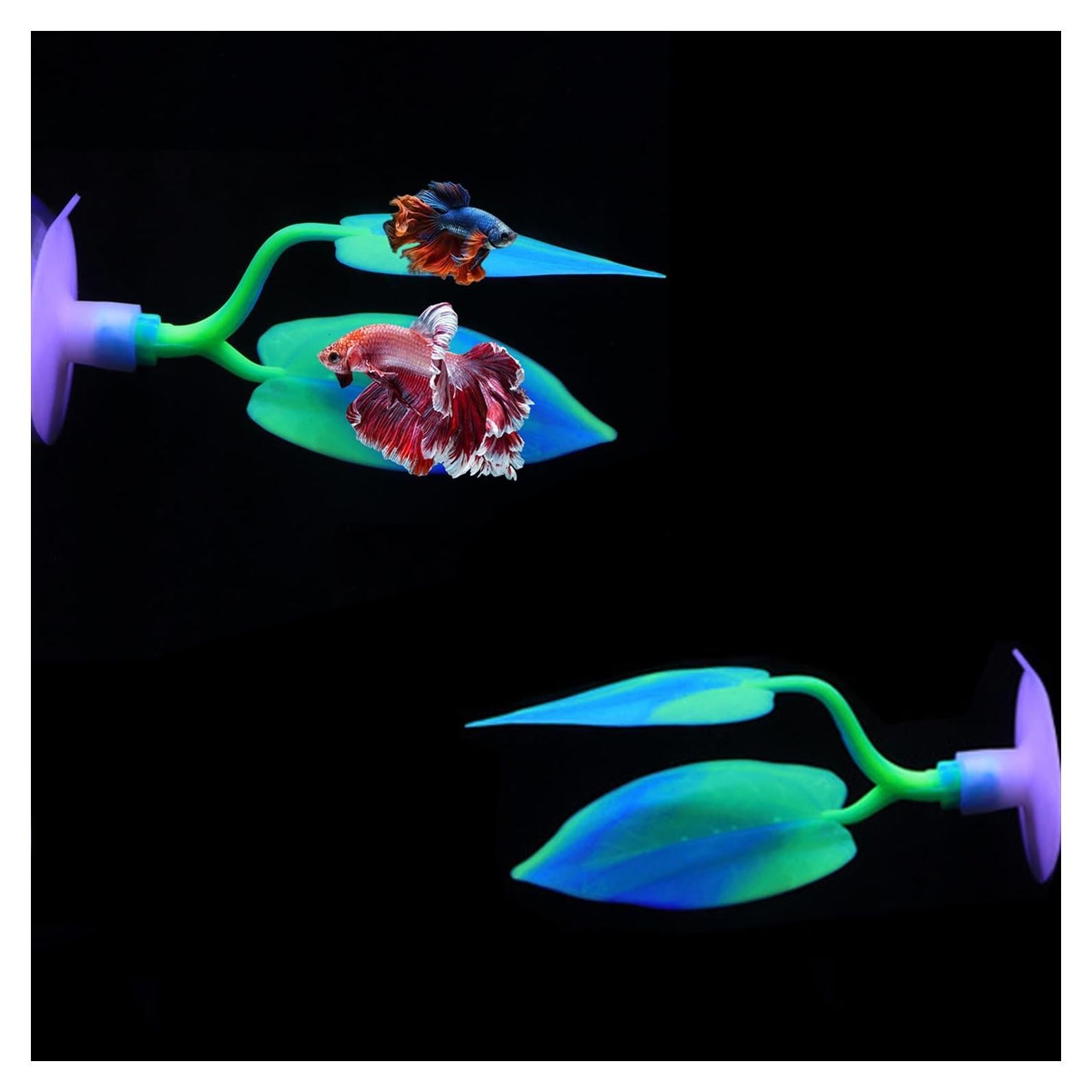 Hamaca de Silicona para Peces Betta DEMONTALK - 2 Piezas