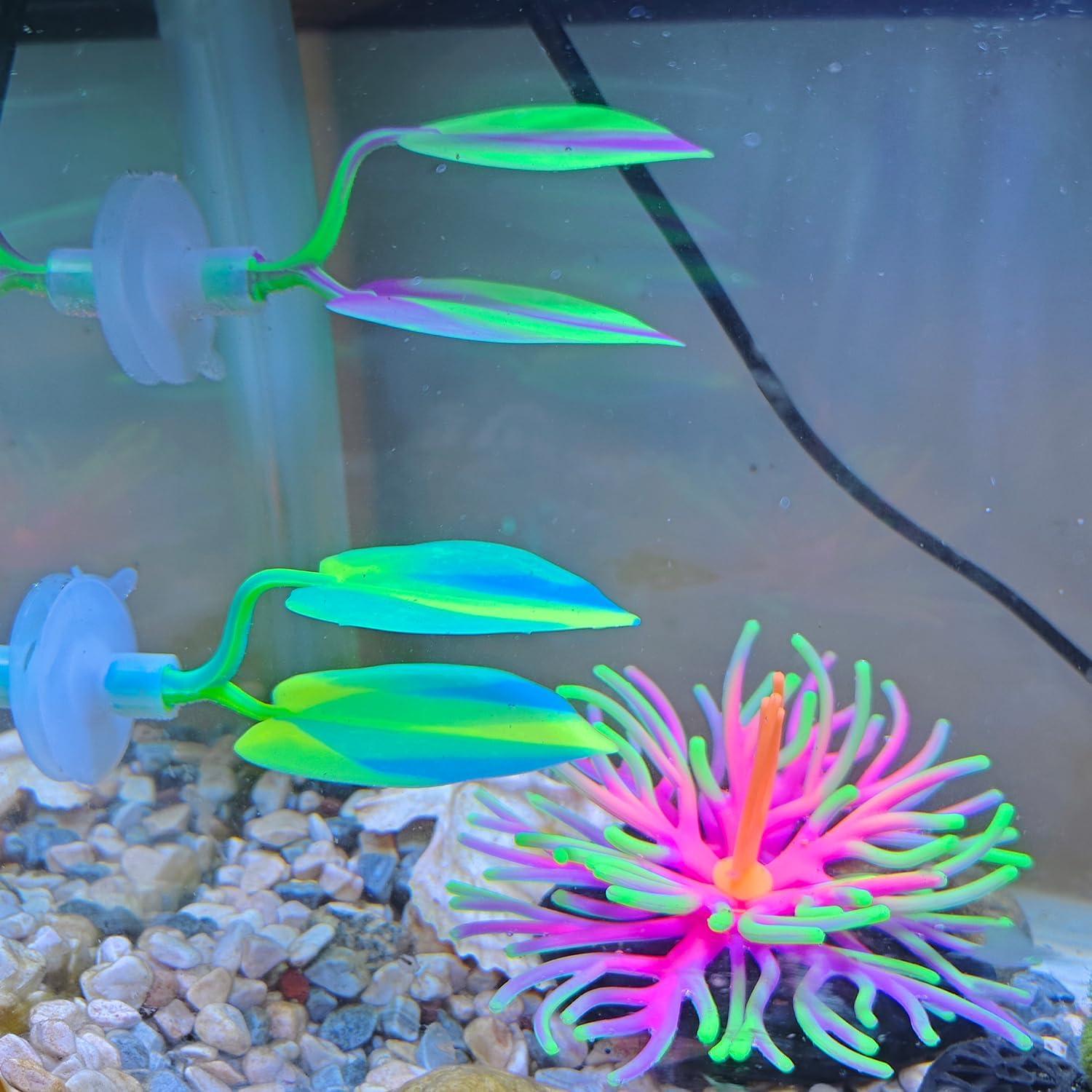 Hamaca de Silicona para Peces Betta DEMONTALK - 2 Piezas