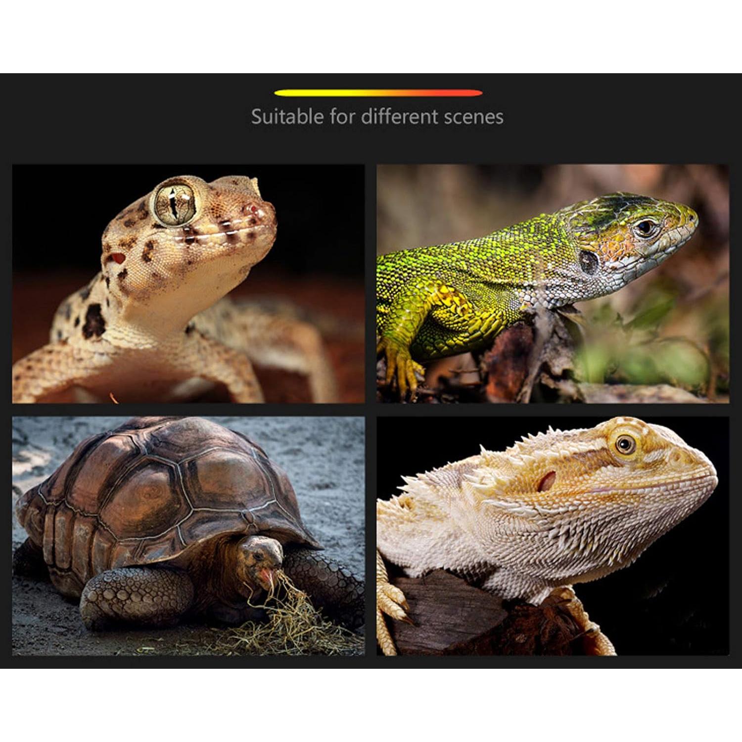 Plataforma Flotante para Tortugas ATB-GIFT Tamaño L 40.5x28x41cm