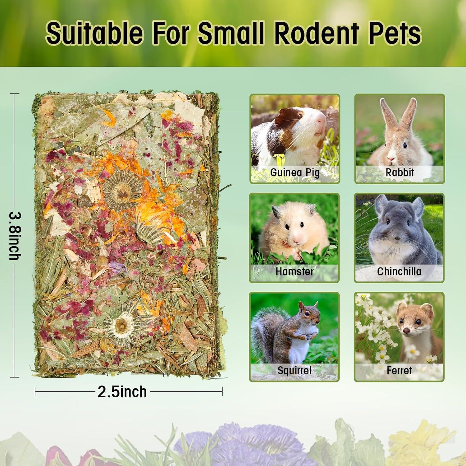 Galletas Naturales para Conejos Abizoo - 10 Piezas de Heno Timothy