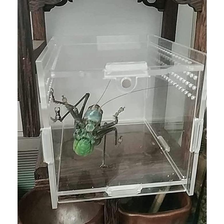 Caja Acrílica Magnética para Insectos y Reptiles 9x9x9.5cm