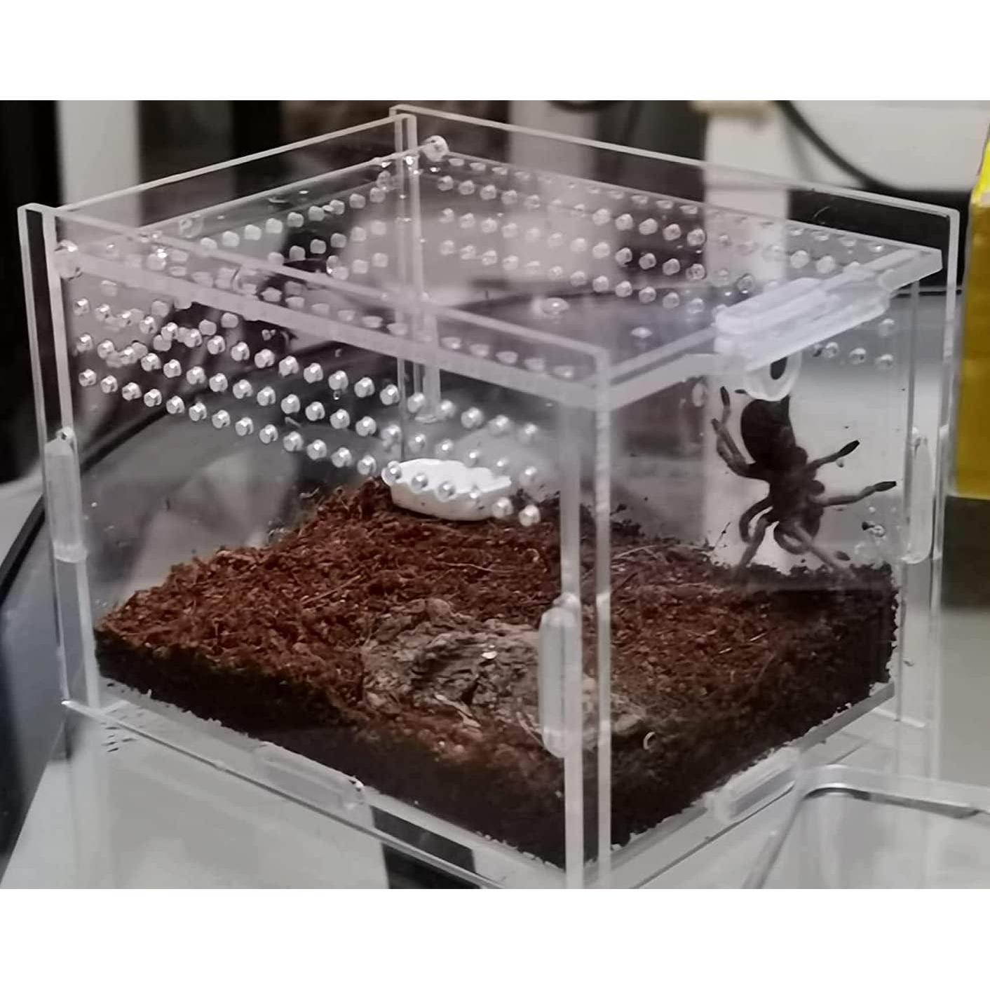 Caja Acrílica Magnética para Insectos y Reptiles 9x9x9.5cm