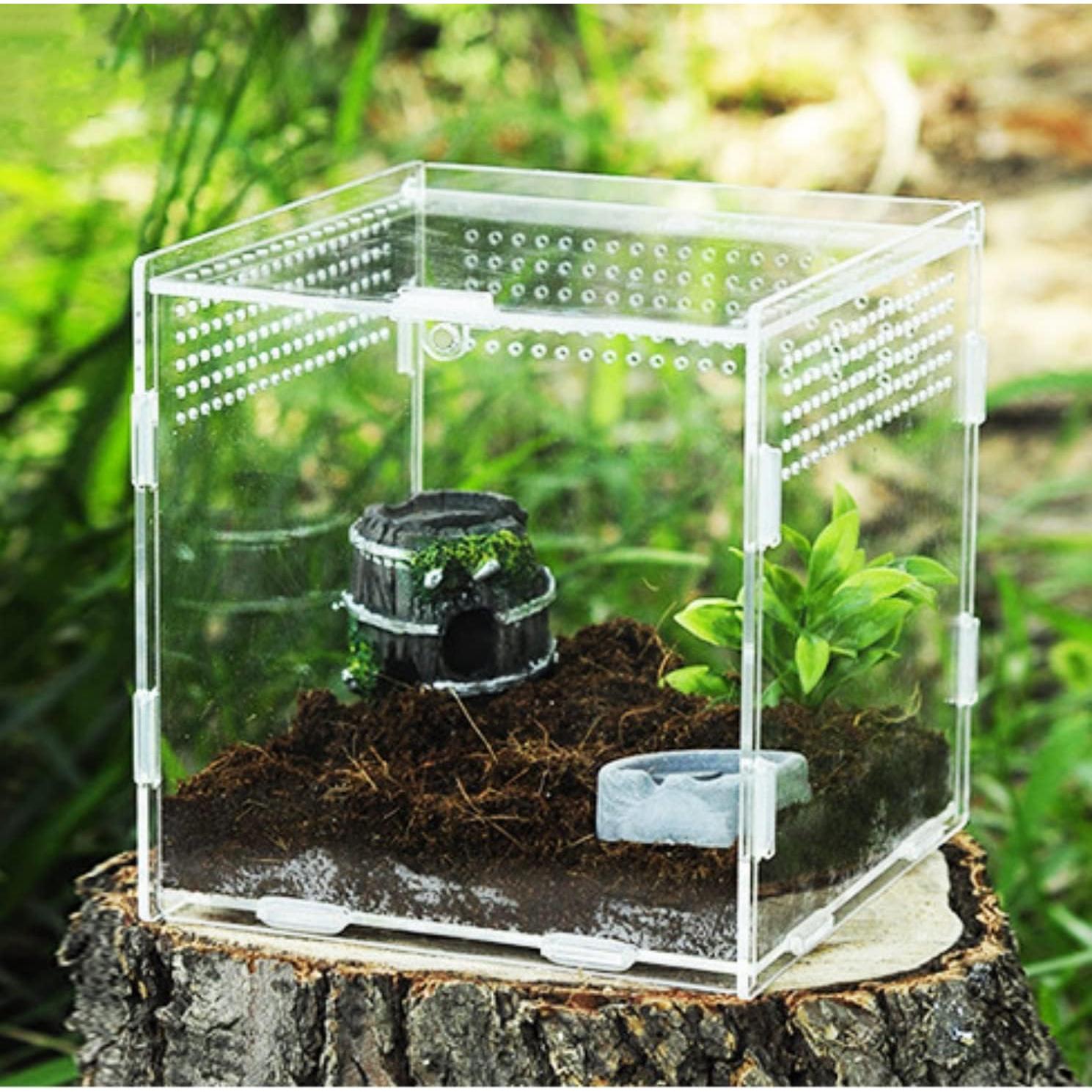 Caja Acrílica Magnética para Insectos y Reptiles 9x9x9.5cm