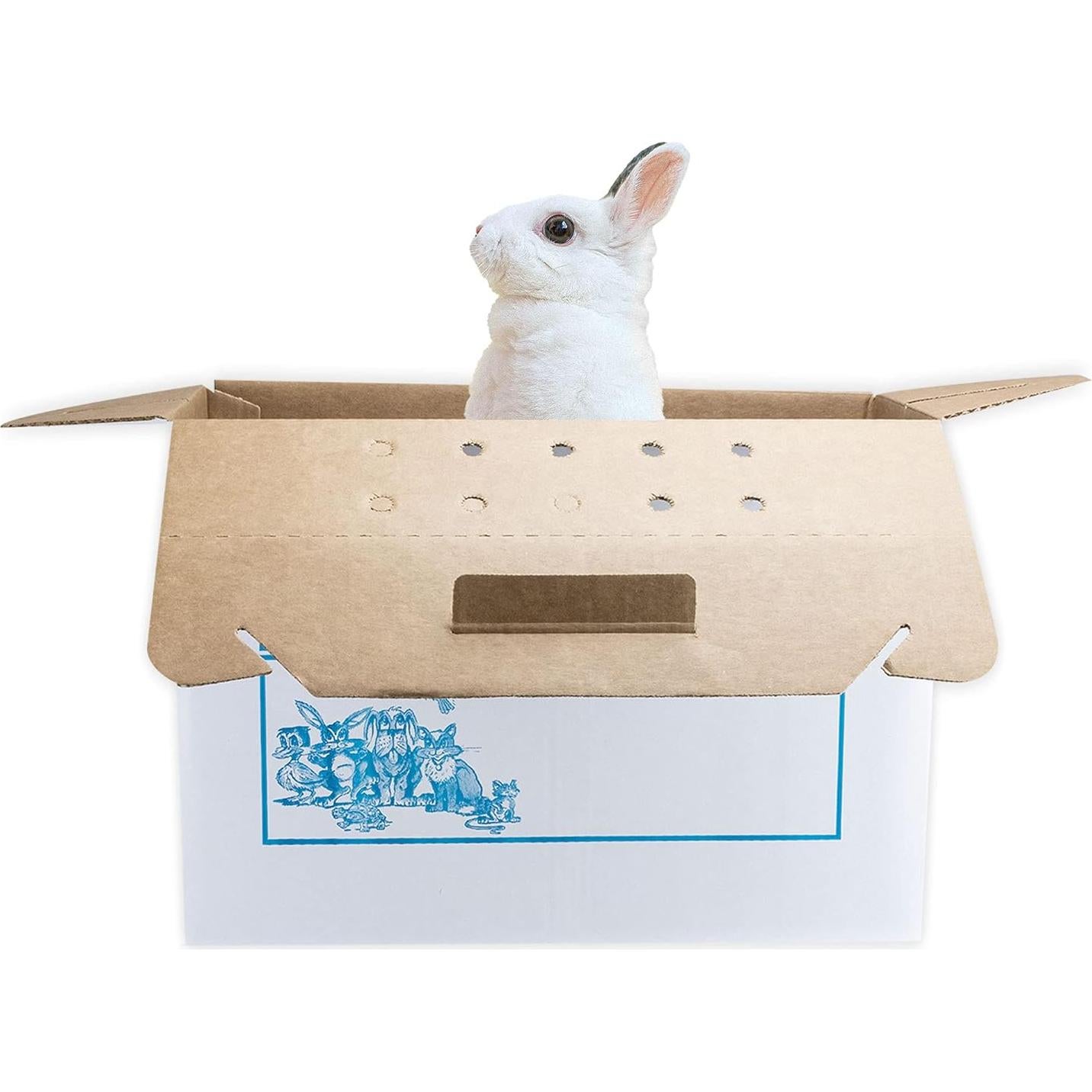 Transportador Desechable para Mascotas Oasis 12 Unidades