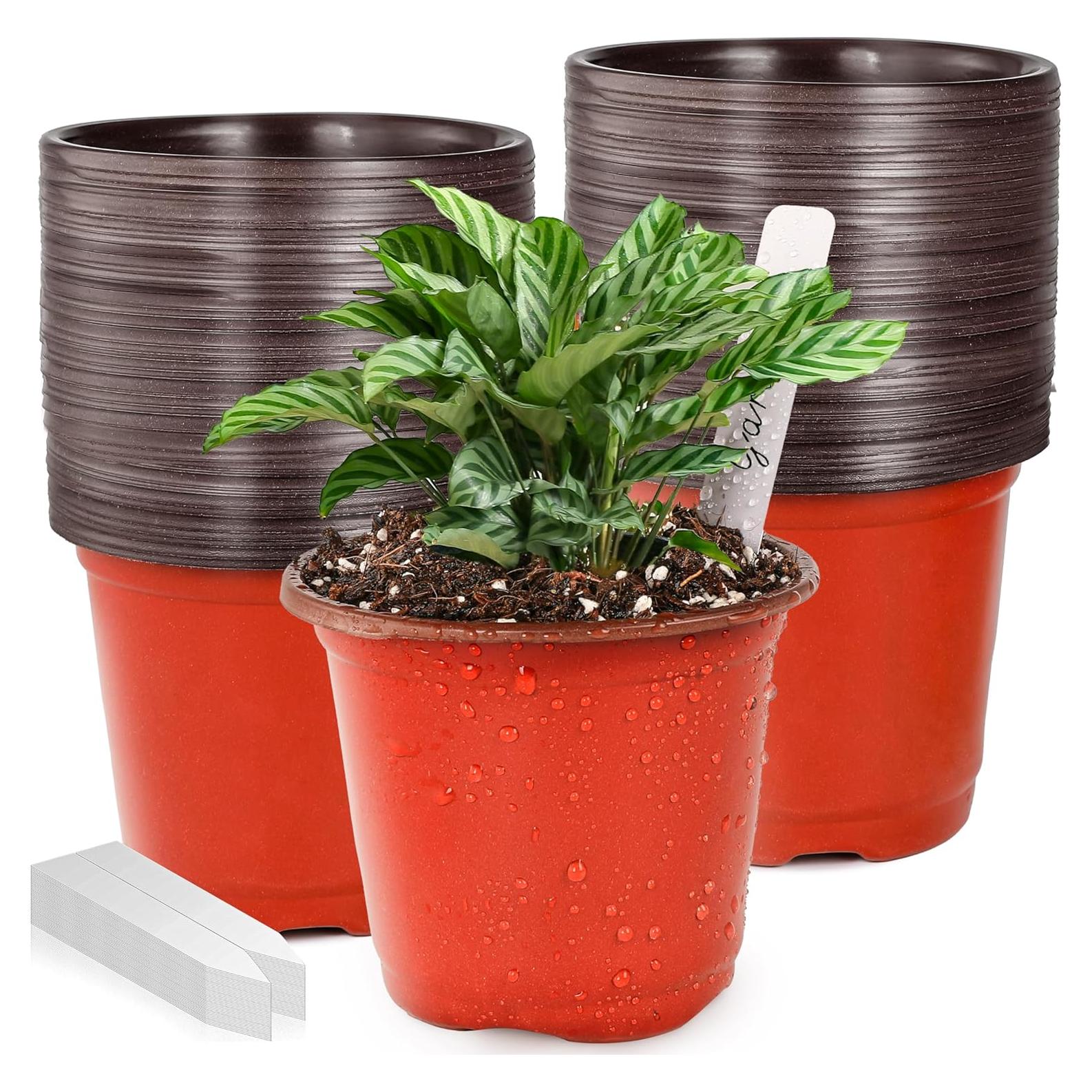 Macetas de Vivero LWWTBS 10.16 cm 100 Pcs con Etiquetas