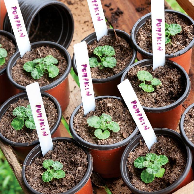 Macetas de Vivero LWWTBS 10.16 cm 100 Pcs con Etiquetas